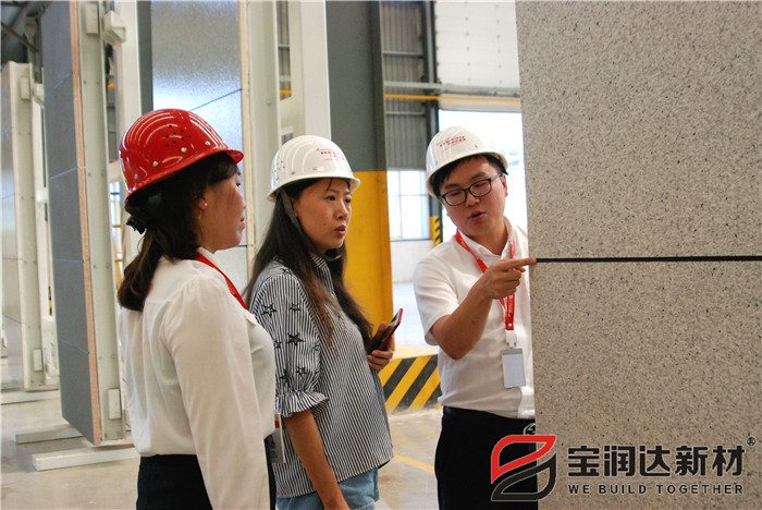 迪拜客戶來訪寶潤達參觀考察 洽談合作